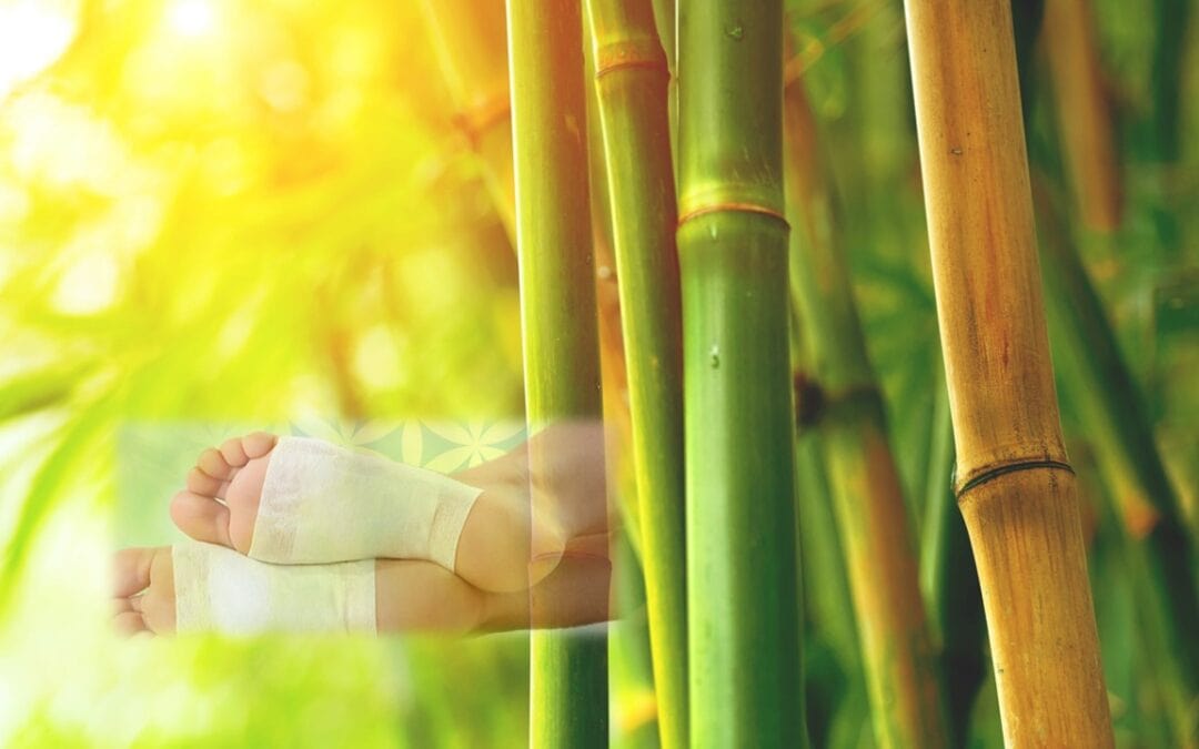 Entgiften und Entschlacken mit Bambus Vitalpflaster
